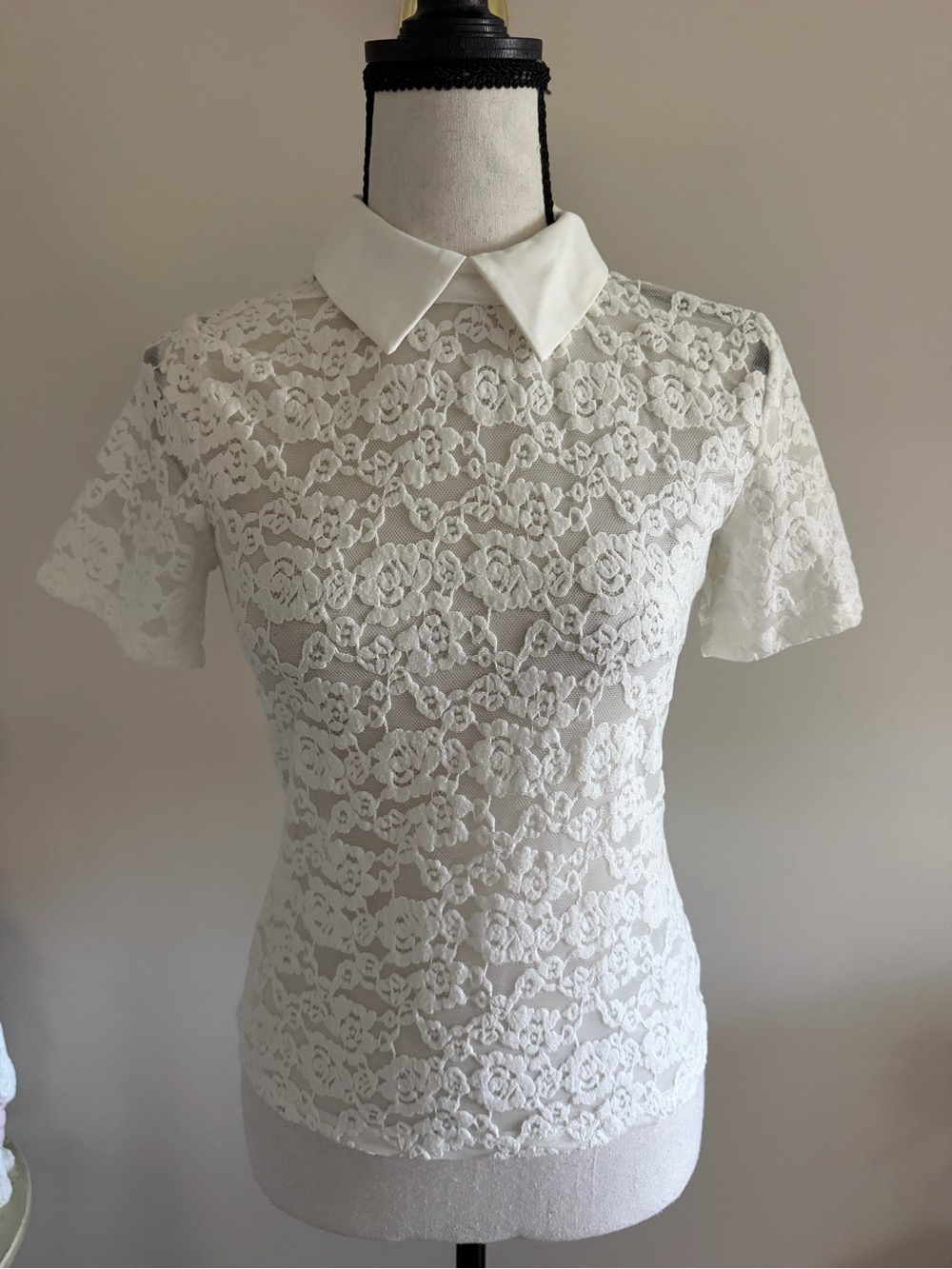 RW&CO. White Lace Short-Sleeve Blouse with Peter Pan Collar